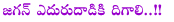 ys jagan mohan reddy,fighting,all parties,ysr congres party,ys jagan mohan reddy big fighting,elections,tdp,congress,ap politics,telangana,seemandhra,samaikhyandra,ys jagan speed up for elections,thotakura raghu artical on ys jagan